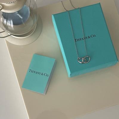 TIFFANY&CO. 925 Elsa Peretti interlocking silver necklace (해외배송 가능상품)