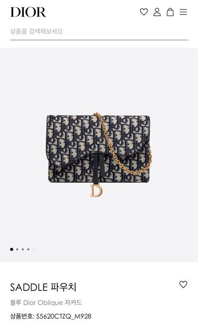 Dior 디올 오블리크 자카드 새들 체인 파우치 클러치백 핸드백